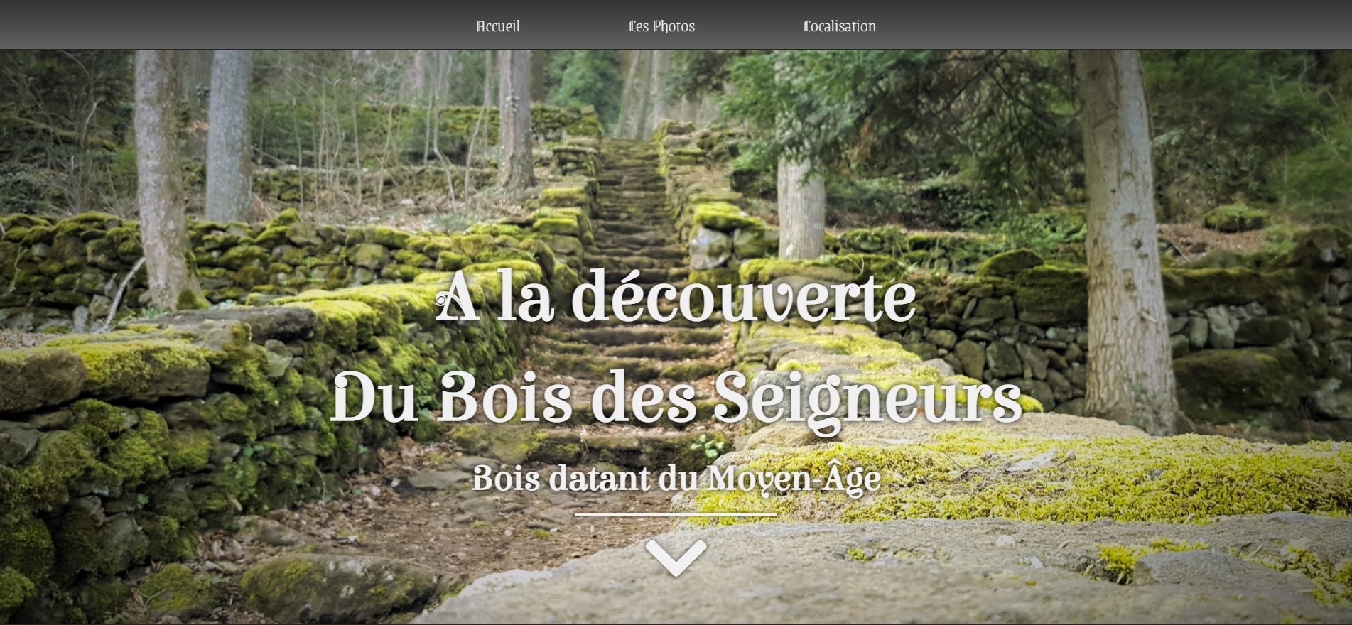 Snapshot Bois des seigneurs